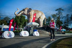 BIB: 
                            <button type="button" onclick="openModal(26541667)" class="btn btn-primary btn-sm float-right btn-popup" data-toggle="modal" data-target=".modal-high-quality">
                        <i class="fas fa-shopping-cart"></i> Add to Cart
                    </button>
                                            <button type="button" onclick="isThisMe(26541667, true)" class="btn btn-success btn-sm float-right btn-popup btn-isme hidden" data-toggle="tooltip" data-placement="bottom" title="นี่คือรูปของคุณใช่ไหม คลิกที่นี่เพื่อเอาเข้าอัลบั้ม">
                        <i class="fas fa-plus"></i> Add to album
                    </button>
                    <button type="button" onclick="isThisMe(26541667, false)" class="btn btn-warning btn-sm float-right btn-popup btn-isnotme hidden">
                        <i class="fas fa-ban"></i> Remove from album
                    </button>